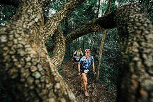 BIB: 
                            <button type="button" onclick="openModal(25393323)" class="btn btn-primary btn-sm float-right btn-popup" data-toggle="modal" data-target=".modal-high-quality">
                        <i class="fas fa-shopping-cart"></i> Add to Cart
                    </button>
                                            <button type="button" onclick="isThisMe(25393323, true)" class="btn btn-success btn-sm float-right btn-popup btn-isme hidden" data-toggle="tooltip" data-placement="bottom" title="นี่คือรูปของคุณใช่ไหม คลิกที่นี่เพื่อเอาเข้าอัลบั้ม">
                        <i class="fas fa-plus"></i> Add to album
                    </button>
                    <button type="button" onclick="isThisMe(25393323, false)" class="btn btn-warning btn-sm float-right btn-popup btn-isnotme hidden">
                        <i class="fas fa-ban"></i> Remove from album
                    </button>